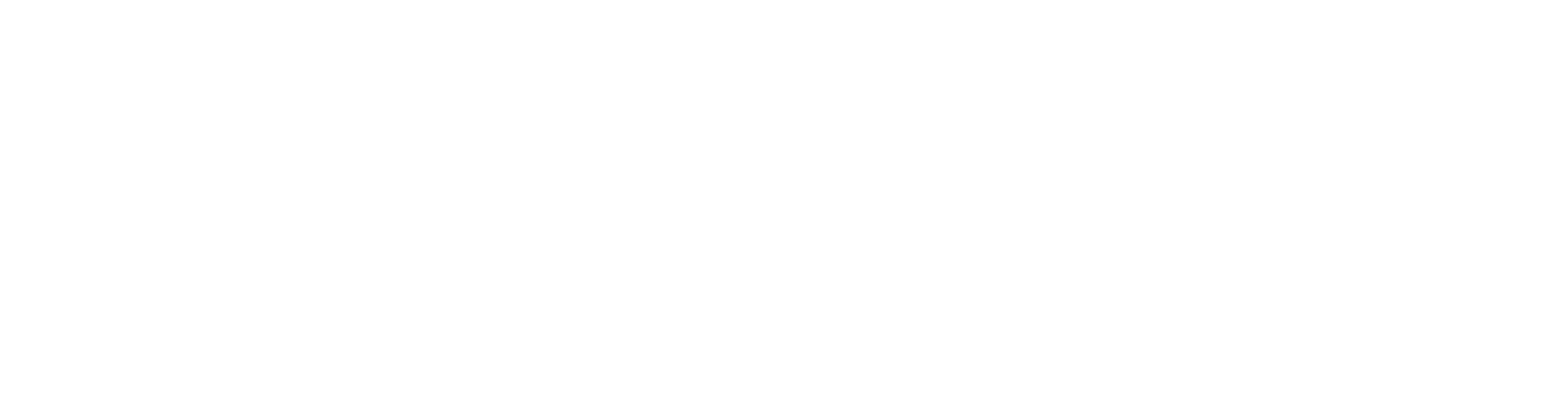 Stardom University